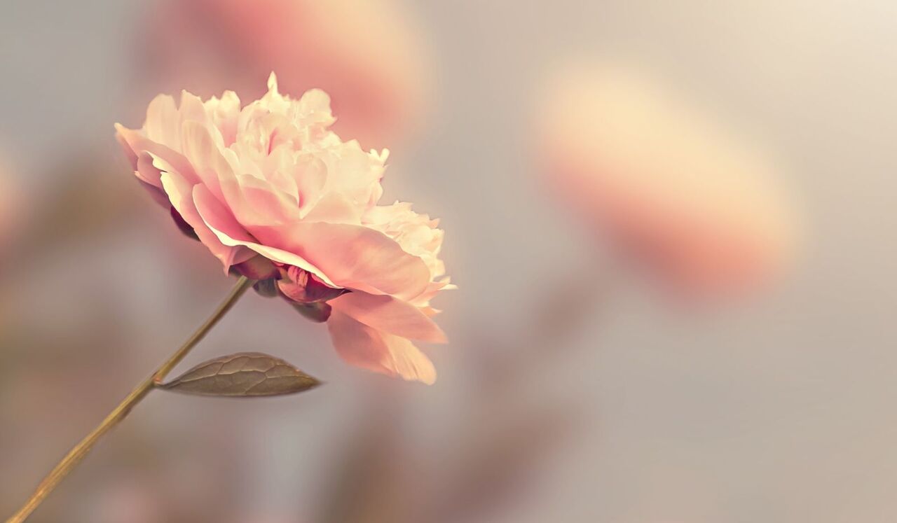 Gateway To Dreams – Music For Deep Subconscious Exploration