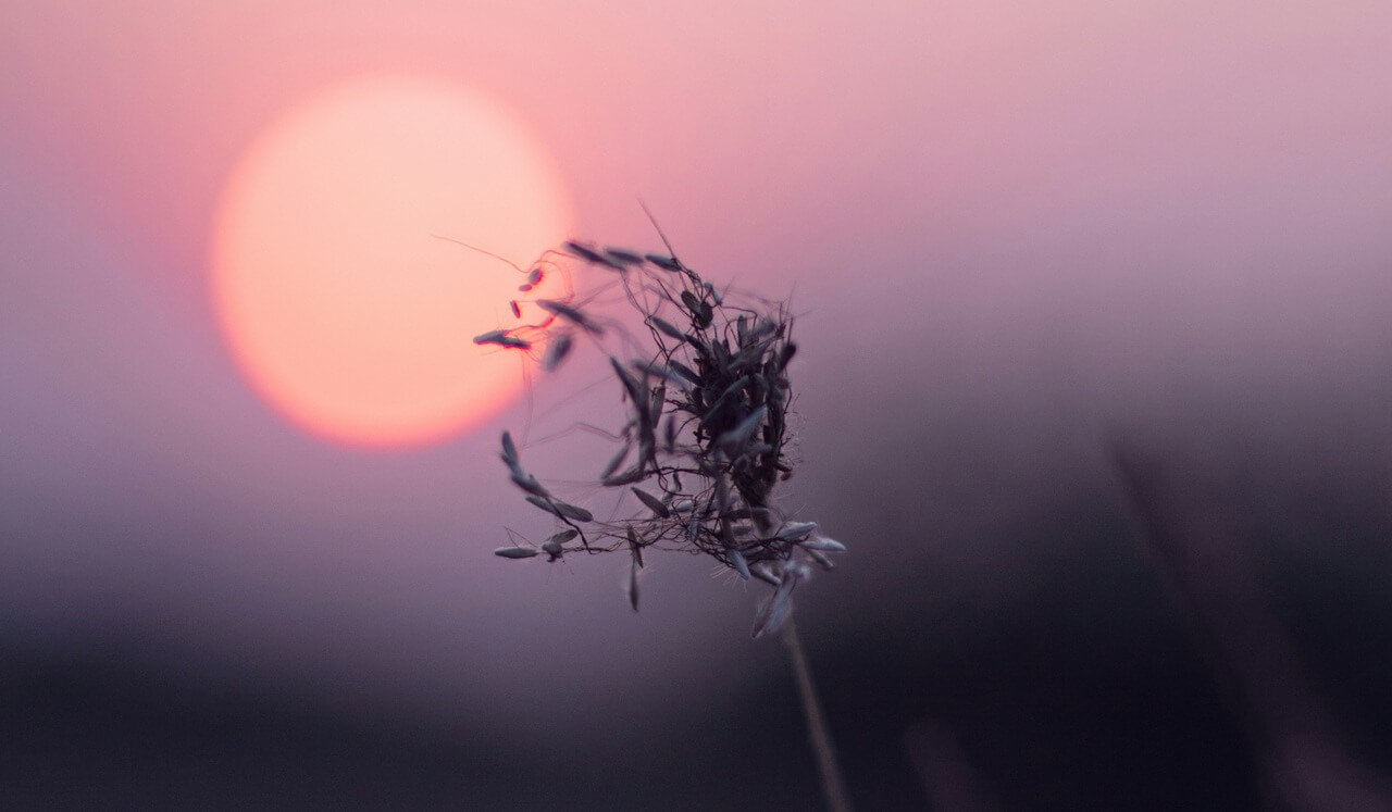 15-Min Deeply Calming Breathwork (4-7-8): Release & Restore