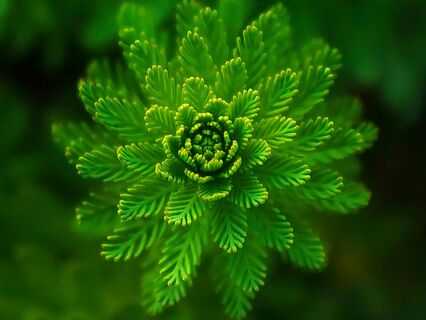 Healing With 4 Elements Of Nature