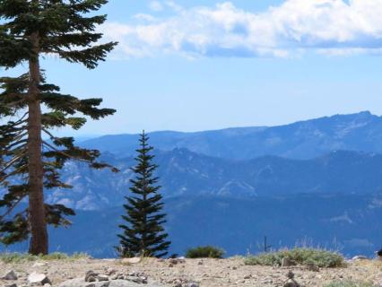 Overcome Barriers To Mindfulness Practice - by Melissa Huang