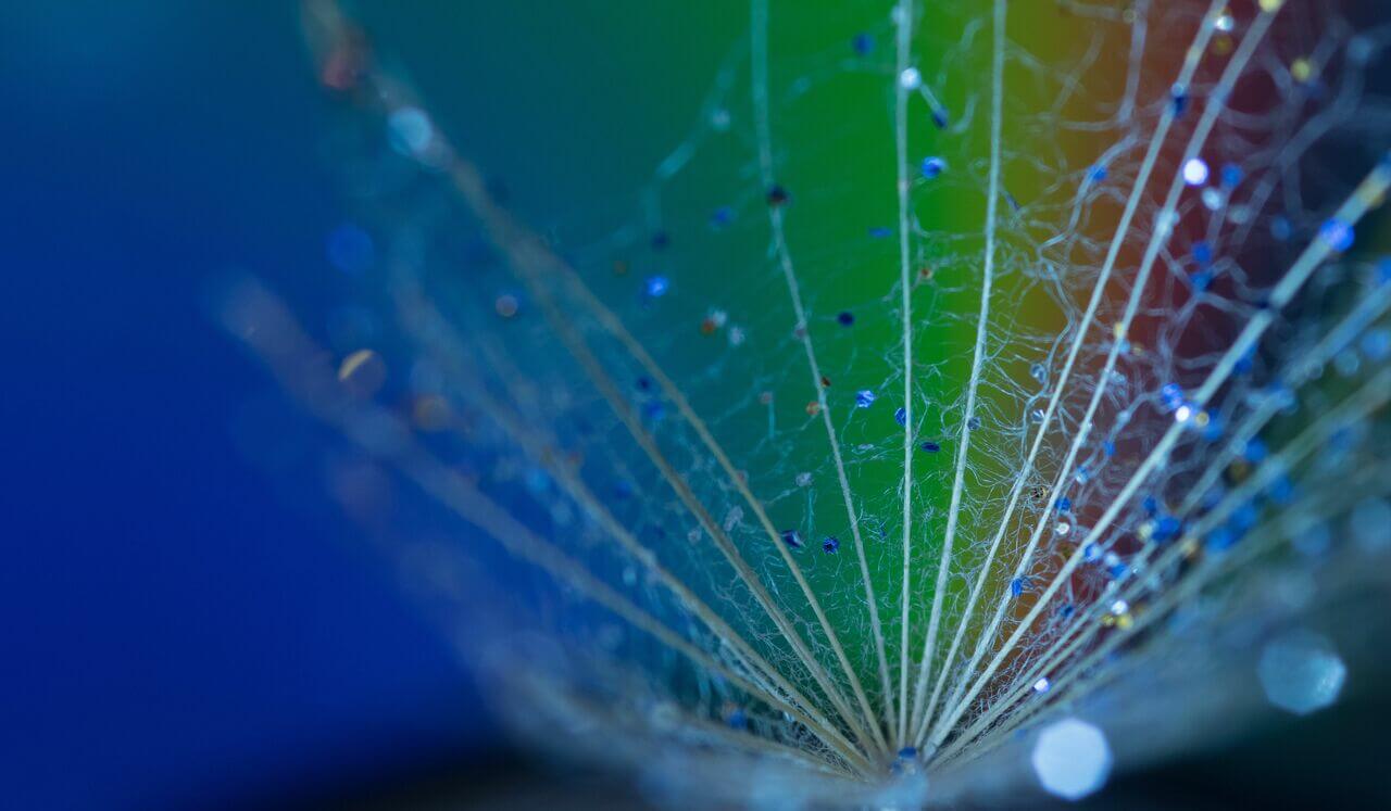 All Levels Daily Reiki: Reiki Through The Chakras