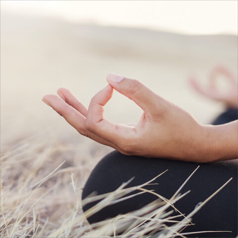 Meditation 2.0: Evolving Your Practice