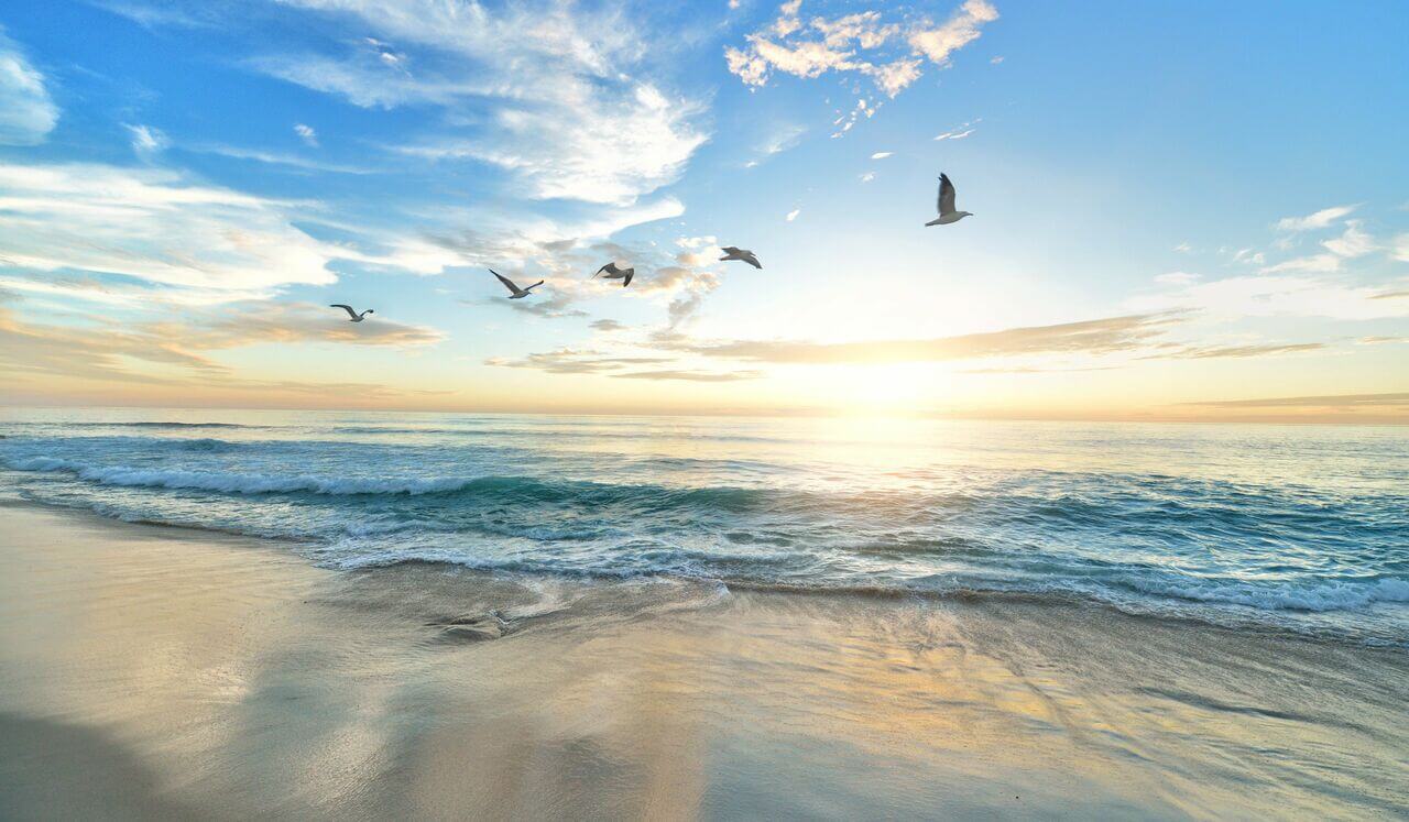 Ocean Breath for Reiki with Bells every 3 minutes (1 hr)