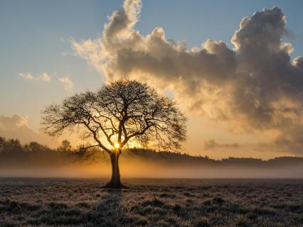 The Four Seasons: The Wisdom Of Cycles - by Mark Mathews