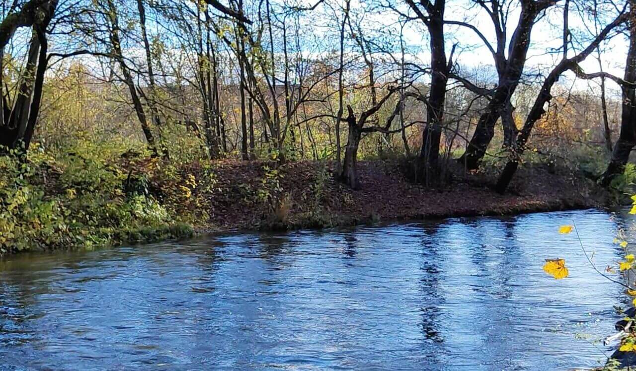 Bilateral Stimulation Music | Timeless