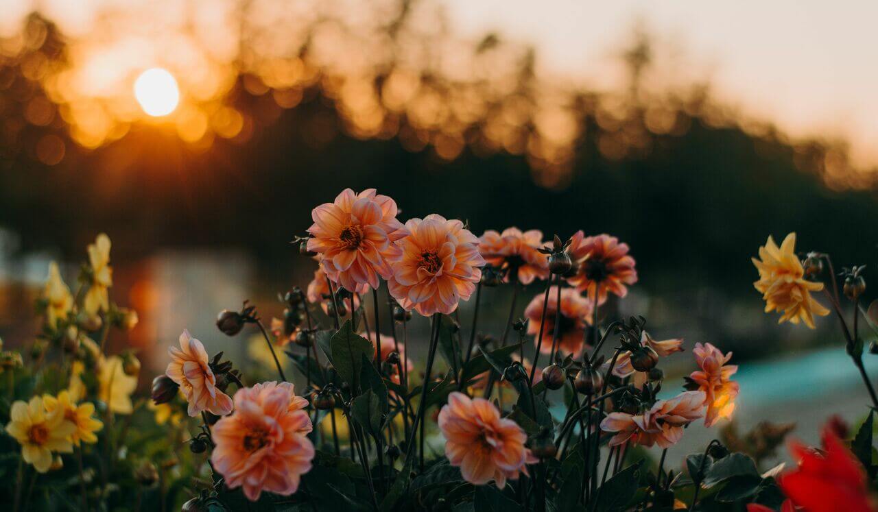 Anxiety Relief: Real Solutions