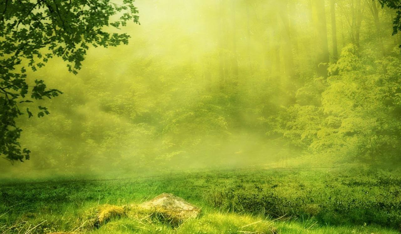 Deinen inneren Helfer kennenlernen