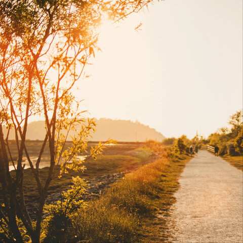 Durch Achtsamkeit zu mehr Gelassenheit im Alltag