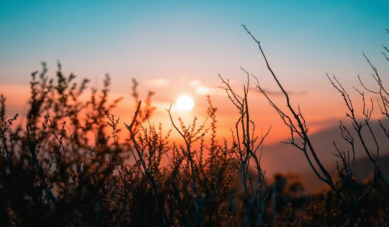 Clarifying The Self: This New Day