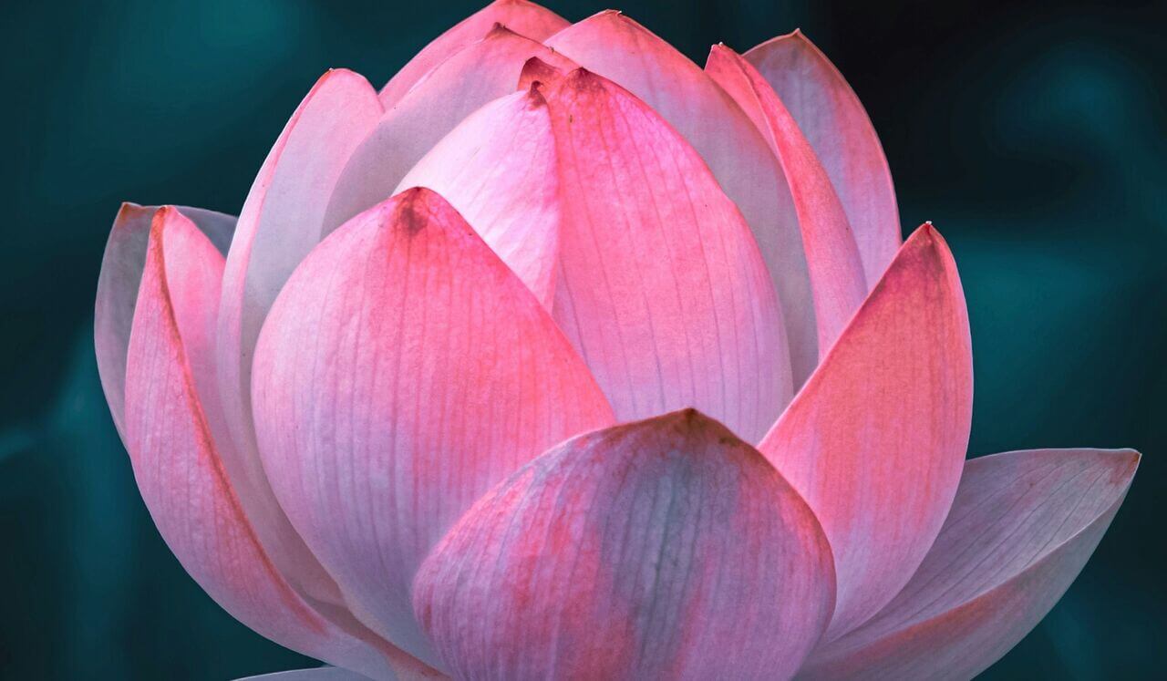 Radical Acceptance Practice