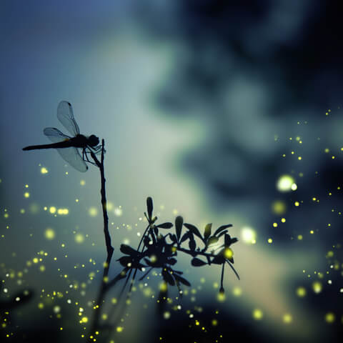 Accessible Tools For Finding Sleep