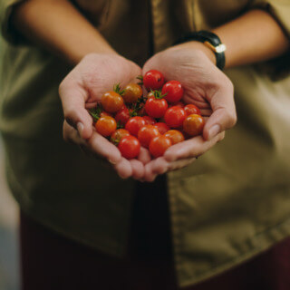 La Belleza y Sabiduría de tu Cuerpo: Cómo Estar en Forma y Saludable sin Restricciones.