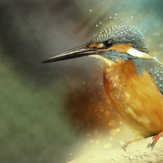 Magic Morning: Kraftvoll in jeden neuen Tag