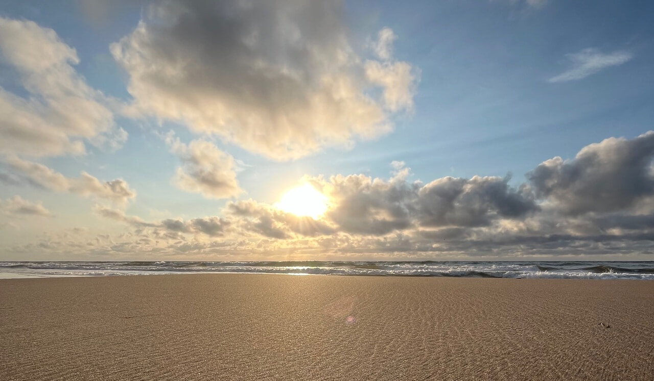 Observer et apaiser la douleur.