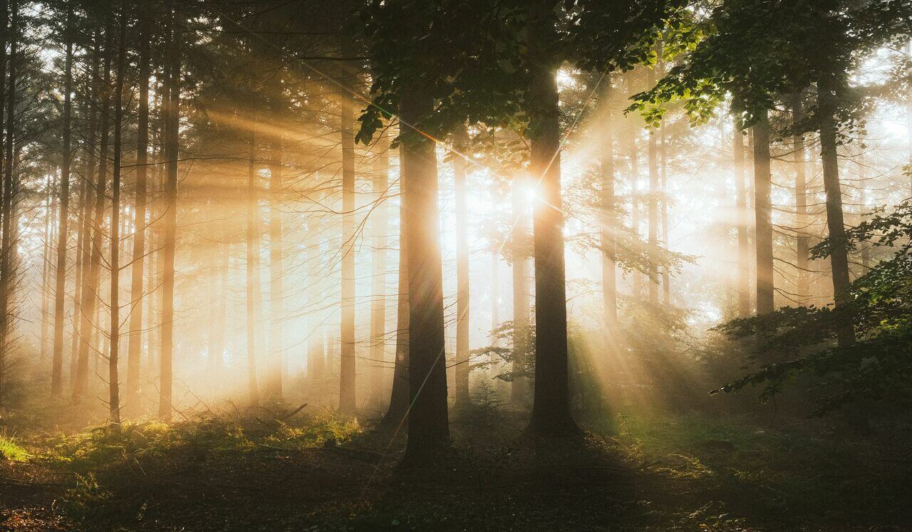 Presence And Being Meditation