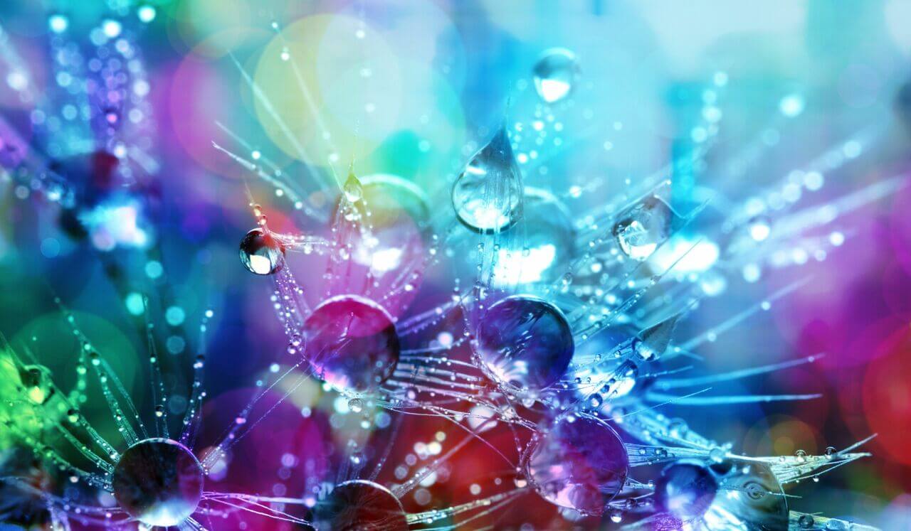 Your Reiki Day: Level 1