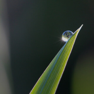 14 Дней Утренних Аффирмаций
