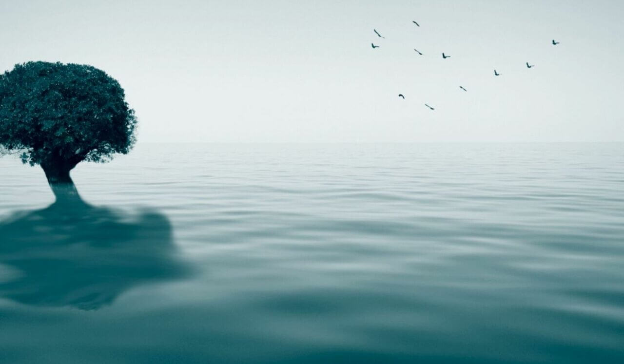 Release Trauma Signals - Shame