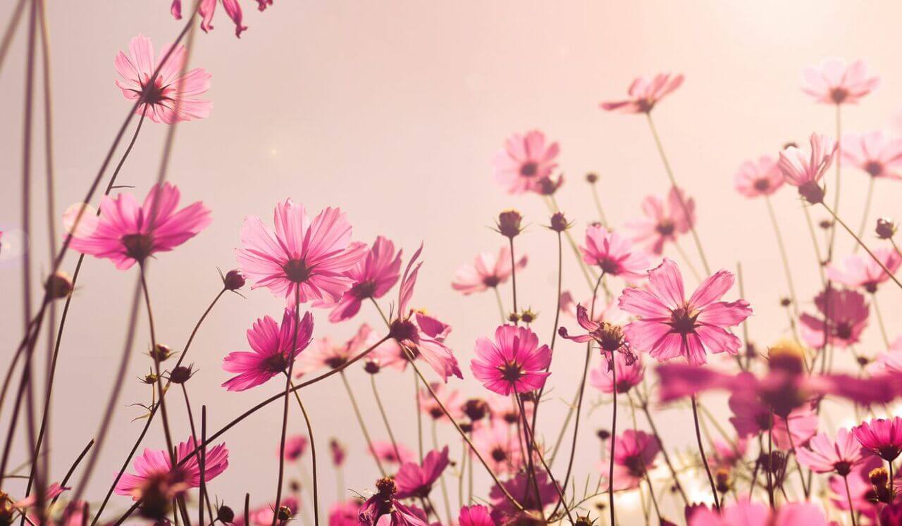 Earth Music To Love Self And Feel Nourished