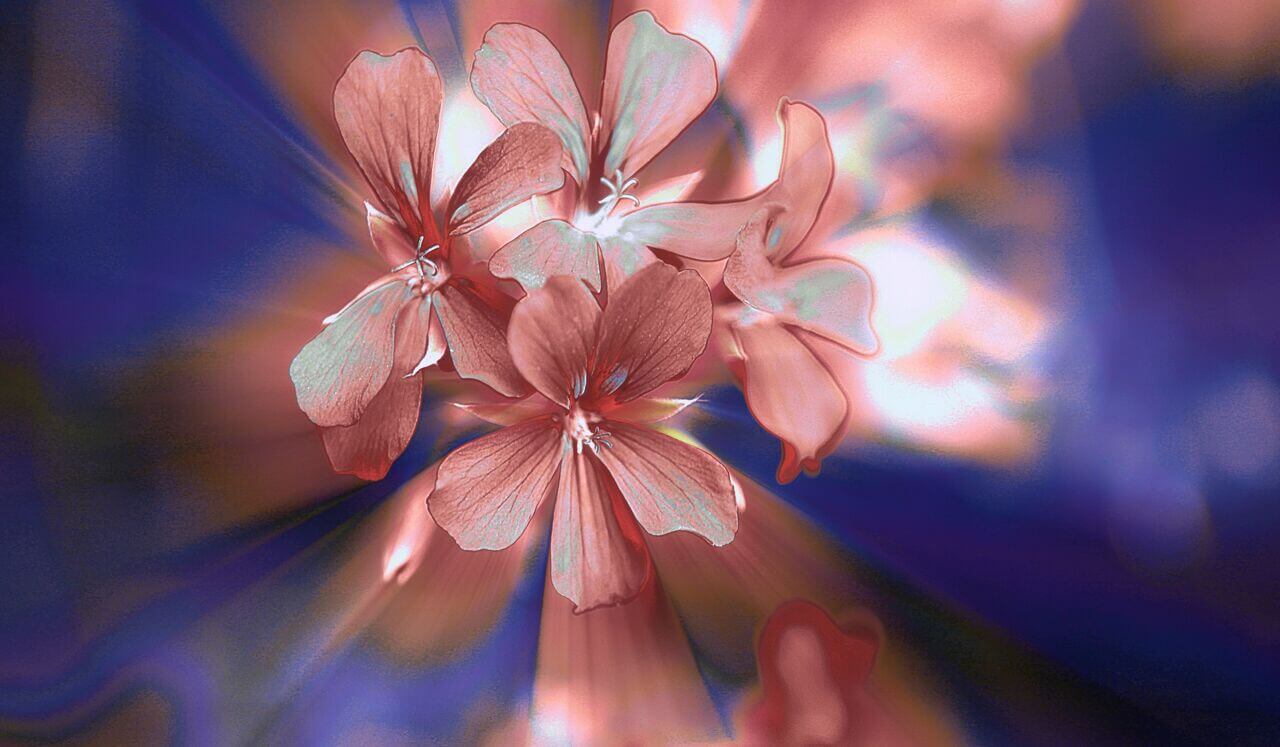 Level 1 Reiki Daily Practice: Self Healing Visualisation