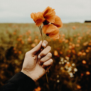 Практики Прощения