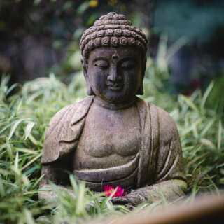 Mehr Mitgefühl mit Metta