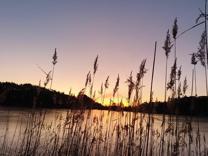 Beginner Techniques For Hacking Your Nervous System Trough Breathing - by Janne