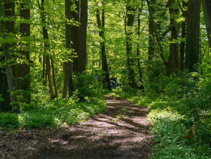 Finding Your Way Through Overwhelm - by Klea Miza (Growing Through Love)