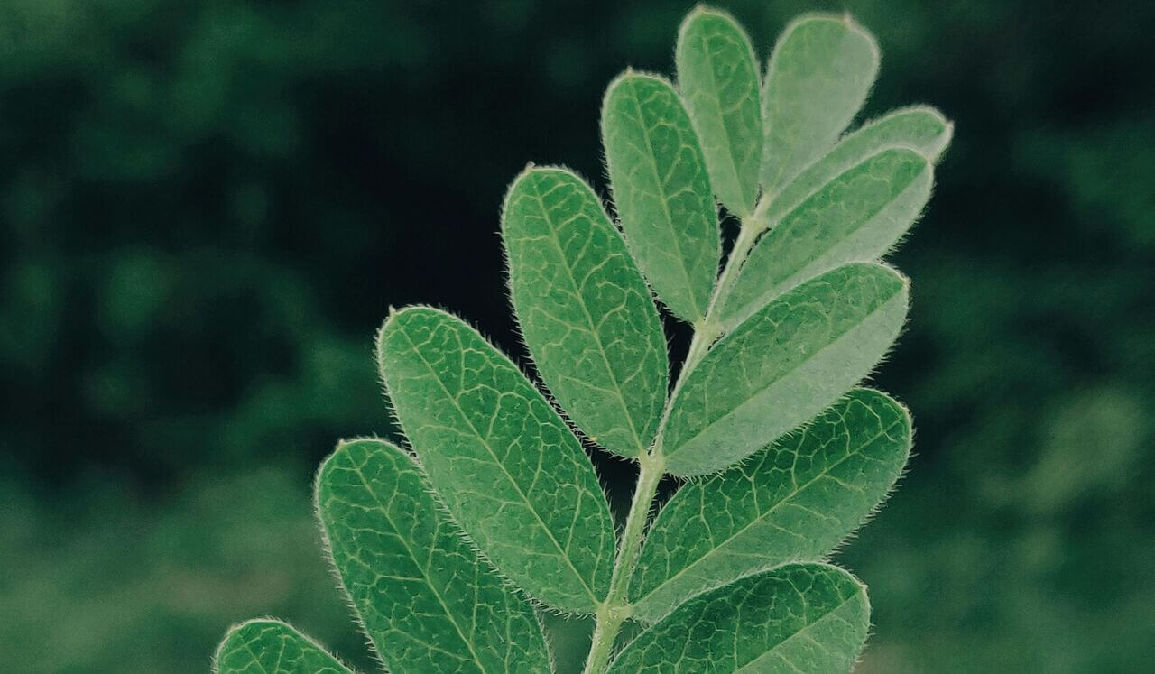 Self-Soothing With The 5 Senses | DBT Stress Relief Skills