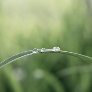 Energy Balancing For Confidence & Protection