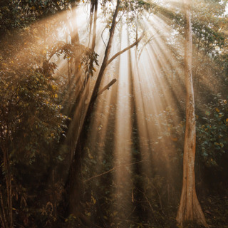 Ángeles y Guías Espirituales