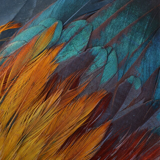 Aprendiendo a Visualizar