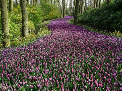 Managing Intrusive Thoughts - by Dr Traci Moreno