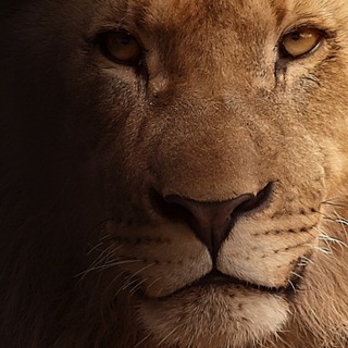 Exploring Masculinity: 7 Yogic Principles For Men