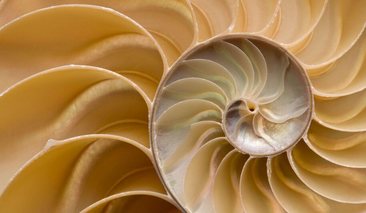 Soul Mapping: Delta Deep & Healing Frequencies