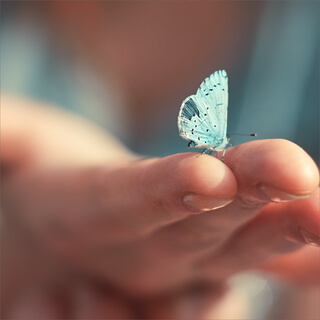 Healing Grief Through Music