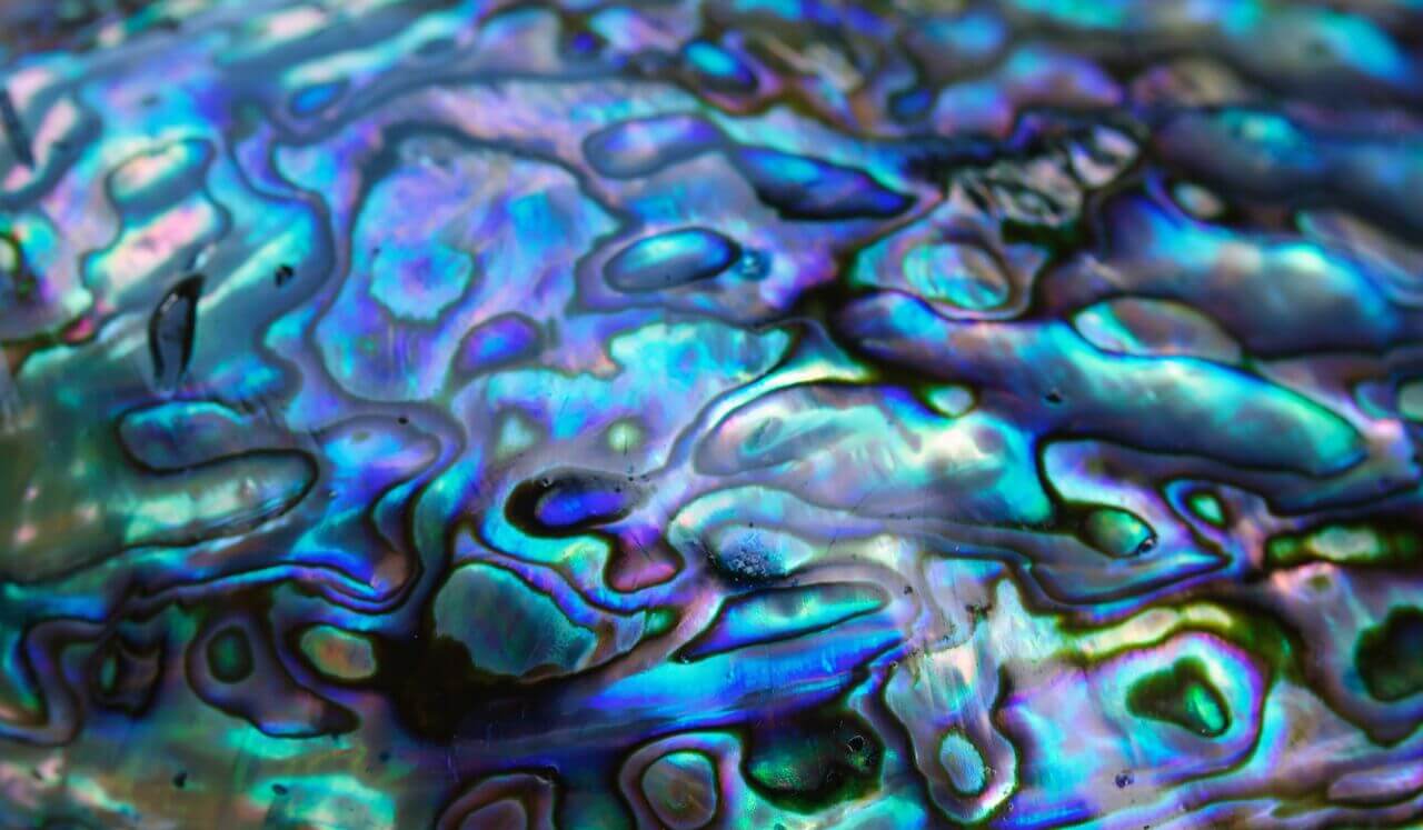 Yoga Nidra Calming Time