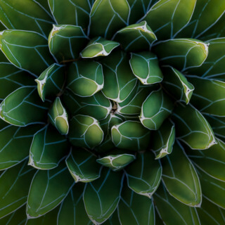 The Science Of Your Calling