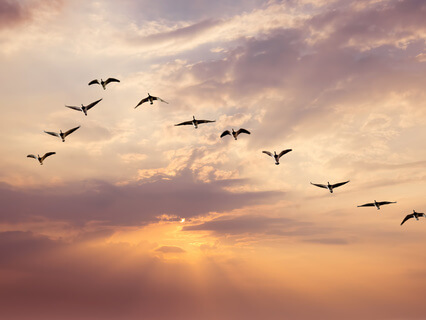 Appreciating What It Means To Be Human - by Paul Riches