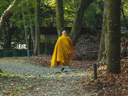 Wandering Through The Moment: Understanding The Four Foundations Of Mindfulness - by Silas Day