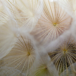 10 Шагов к Саморазвитию и Гармонизации Своей Жизни