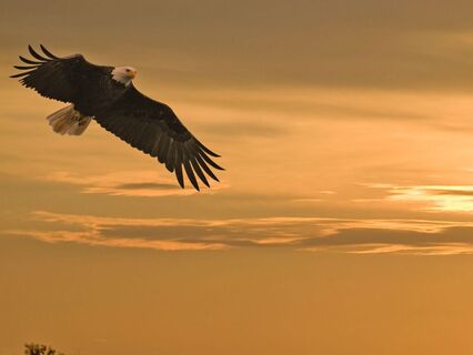 Connecting With The Higher Self & Super Conscious Mind - by Helen Hansen