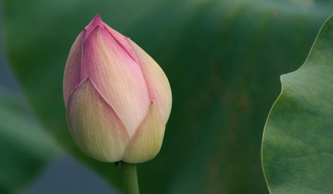 (Quick) Brain Wrapping For An Overstimulated Mind