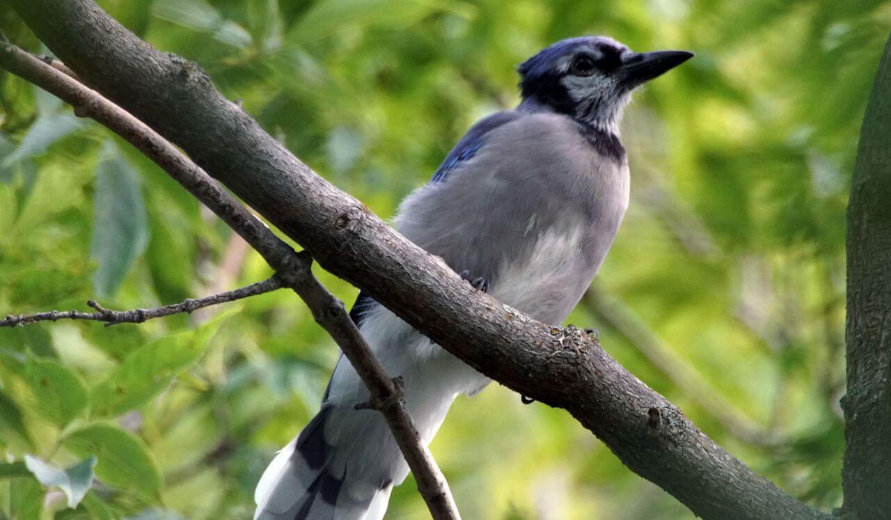 Compassionate Body Scan For Burnout Relief