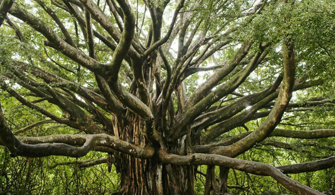 The Resilient You: Engage Your Inner Strength