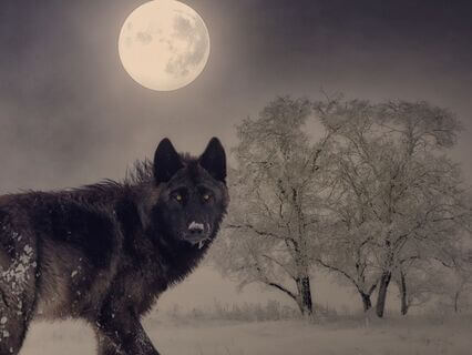 Shamanic Dream Interpretation - by Carrie Suwal