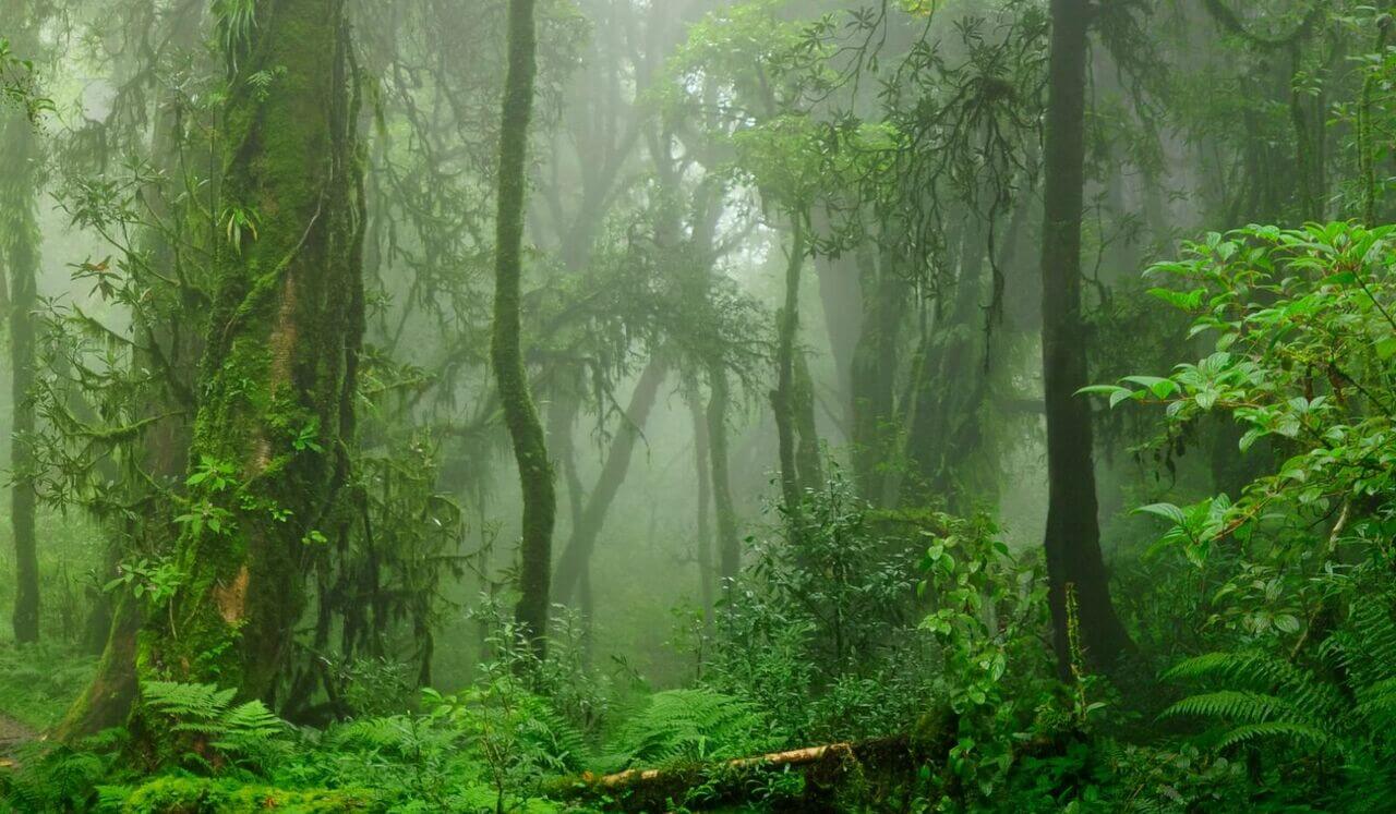 Sanar una separación