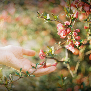 Rise To Your Feminine Power