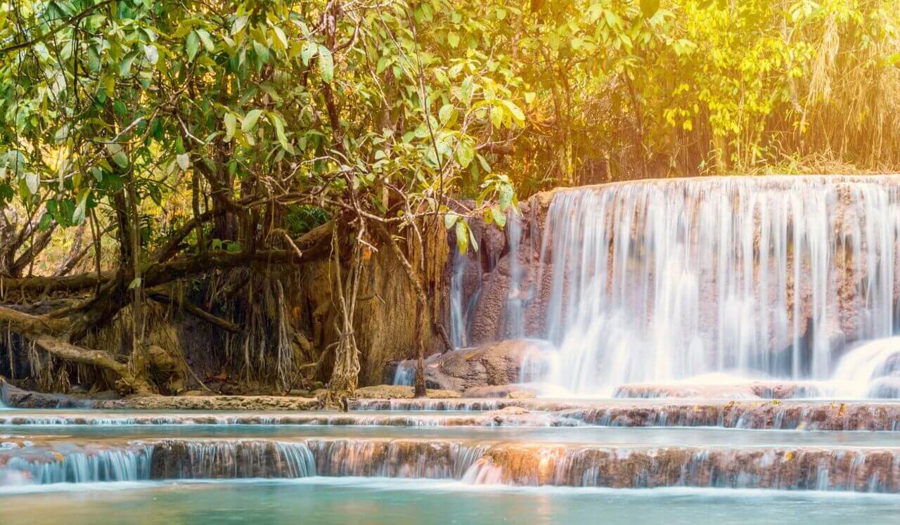 The Bladder-Emotion Connection