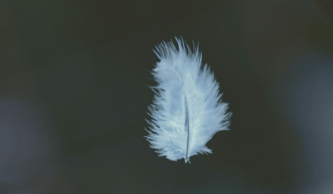 Magic Words To Clear Stress And Heal